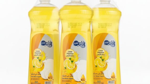 EURO WASH DISH 3 PCS SET - LEMON